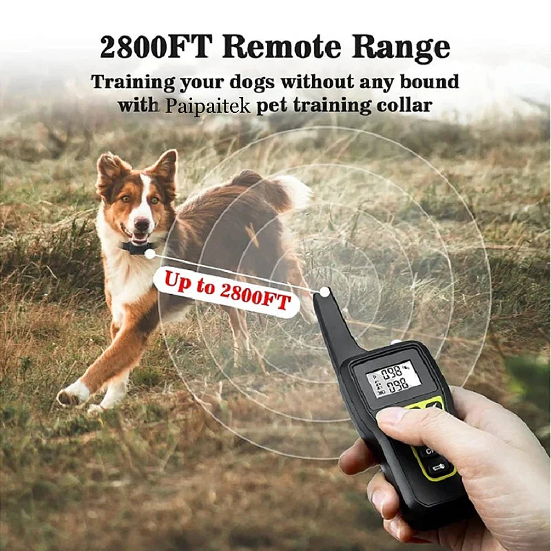 1000m Waterproof Dog Training Collar | Rechargeable Remote Control