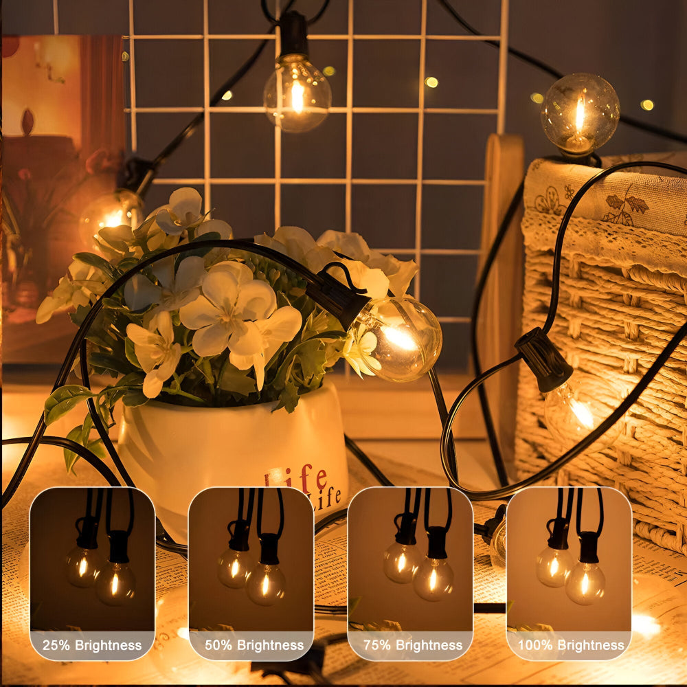 G40 Globe LED Outdoor String Light