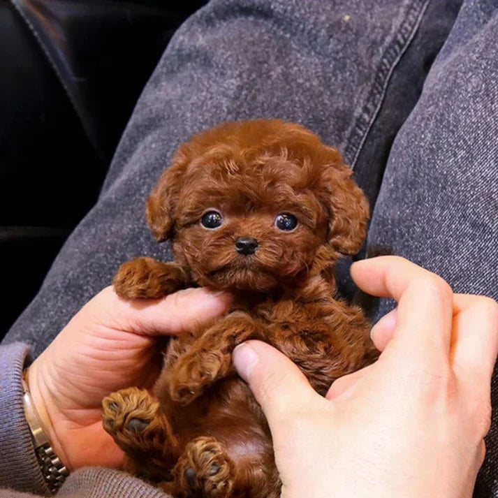 Robot Cachorro Realista Interactivo