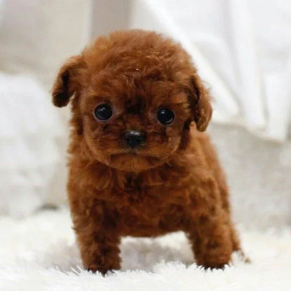 Robot Cachorro Realista Interactivo