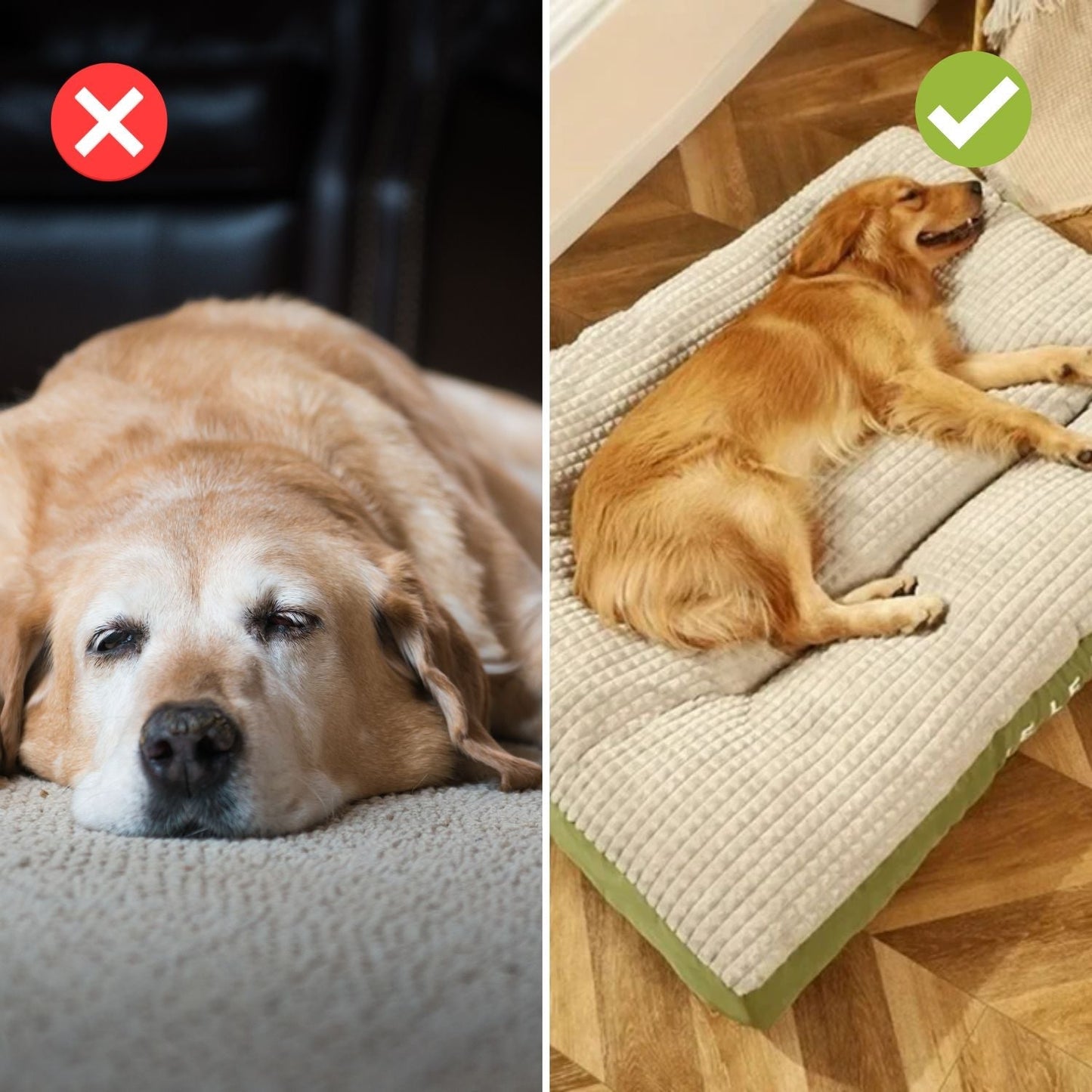 Culcuș pentru câini ComfyCanine | Susținere fermă, confort plușat
