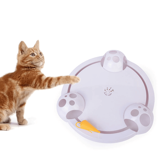 Juguete Automático Interactivo para Gato
