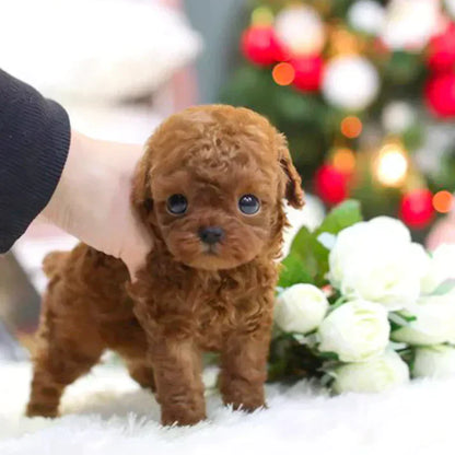 Robot Cachorro Realista Interactivo