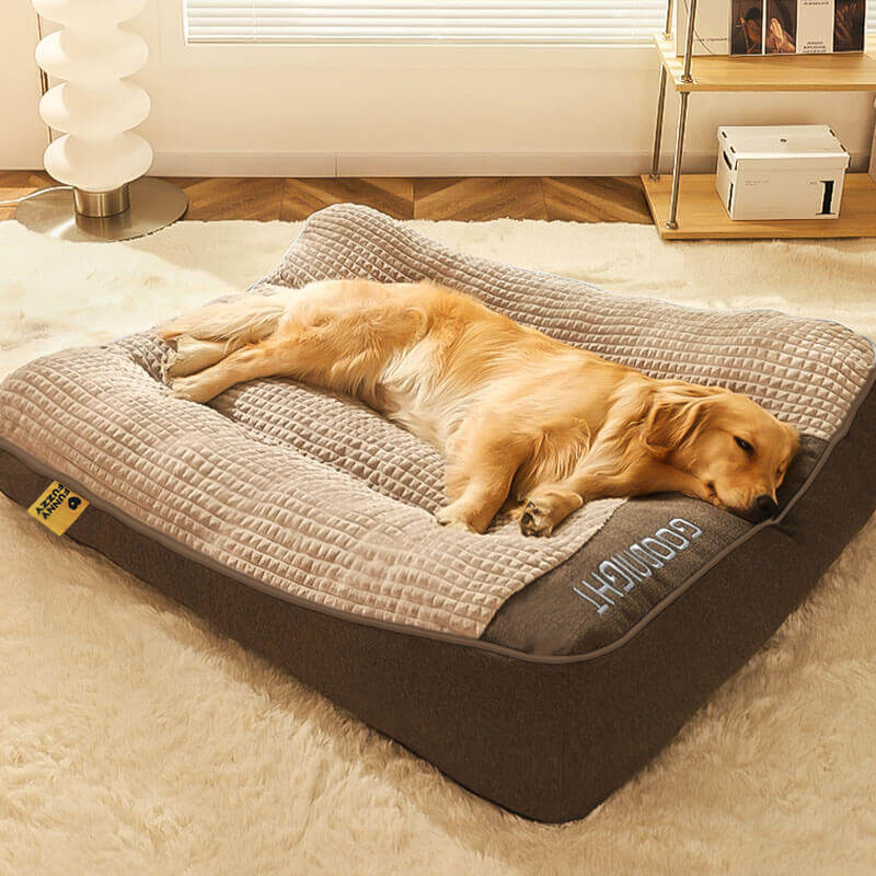 Sofá ortopédico para perros | Cama para mascotas que ayuda a las articulaciones con cojín