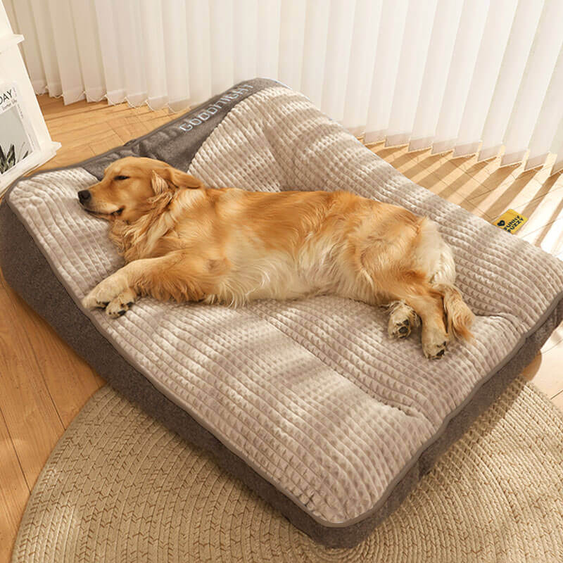 Sofá ortopédico para perros | Cama para mascotas que ayuda a las articulaciones con cojín