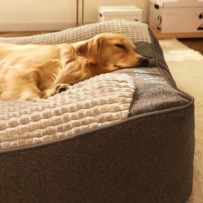 Sofá ortopédico para perros | Cama para mascotas que ayuda a las articulaciones con cojín